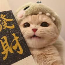 Người dùng Images (3)